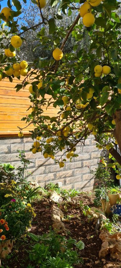 Maria'S Guesthouse - Uphill View Of Nazareth F Esterno foto